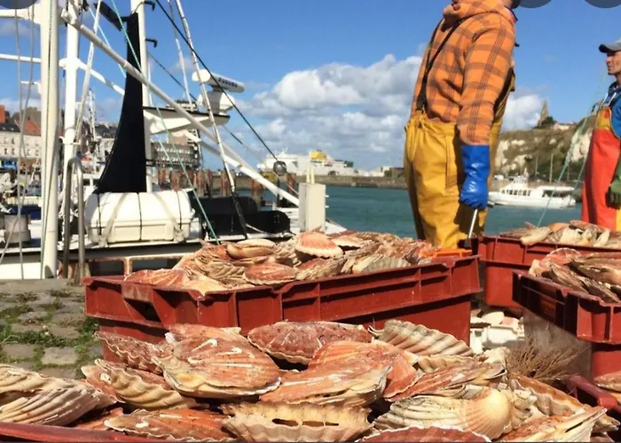 Mobil 3 Camping 4 Etoiles * Petit-Caux