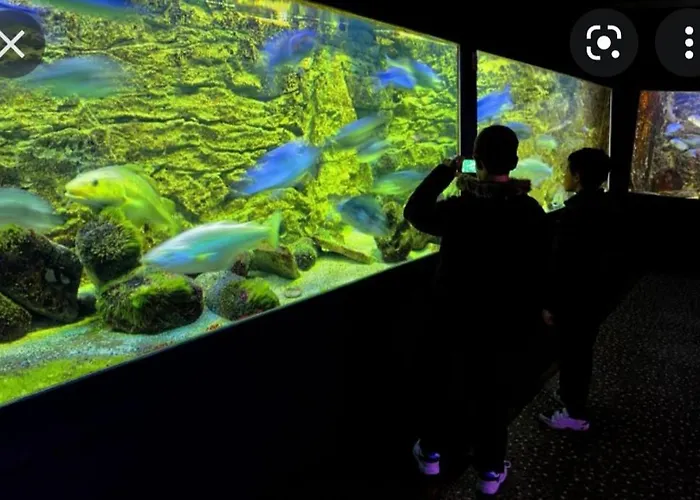 Apartment Mobil 3 Camping 4 Etoiles *